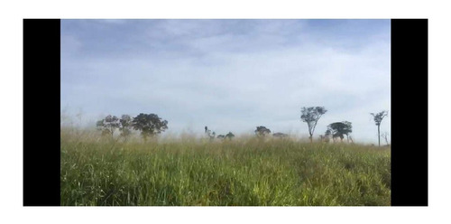 Imagem 11 de 22 de Fazenda 1958 Hectares, Planta 1500 Hectares, Rica Em Água Com Rios, Açudes, Casas, Curral, Galpões, Poços Artesianos, Terra Fértil - Fa00237 - 70701334
