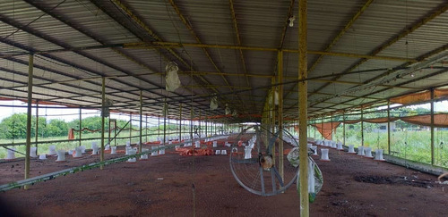 Imagen 7 de 13 de Finca En Venta El Tejero