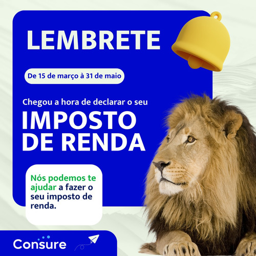 Declaraçõ De Imposto De Renda 2024