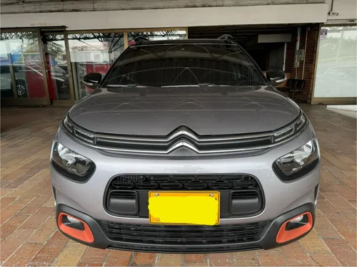 C4 Cactus Shine