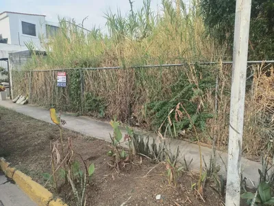 Terreno en alquiler