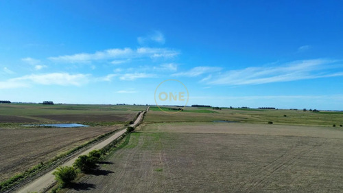 Venta De Campo De 150 Hectáreas En Curva Matonte Florida