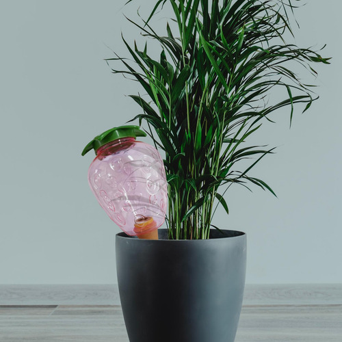 Dispositivo De Auto-rega De Plantas Estacas De 500ml Morango