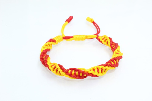 Pulsera Roja Amarillo Adn Hilo Premium B348 Regalo Biologia