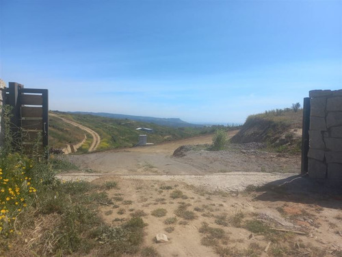 Agrícola En Venta En Navidad