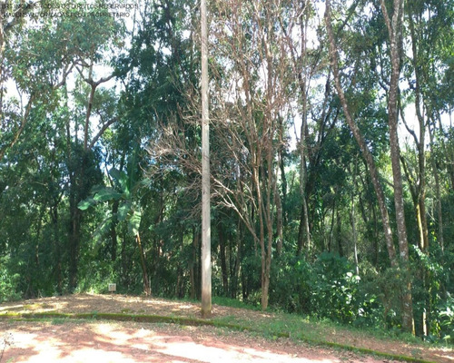 Imagem 1 de 6 de Terreno - Te00150 - 69379256