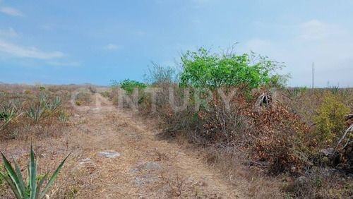 Terreno En Venta, En Telchac Pueblo, Yucatán.