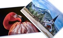 Comprar Impresión Fotos 13x18 X 400 U + 2 Álbumes Para 200 Fotos C\u002Fu