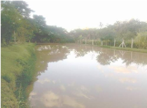 Imagem 5 de 8 de Venda - Chácara Caputera / Sorocaba/sp - 910