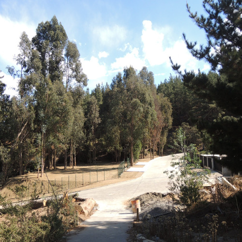 Lindo Terreno En Los Pinos De Reñaca