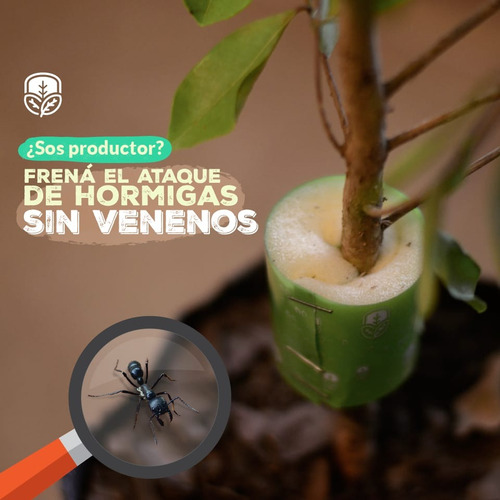 Barrera Contra Hormigas Sin Venenos Ecostop!!! X 7 Metros