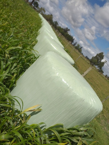 Imagen 1 de 2 de Fardo Silopack Sorgo