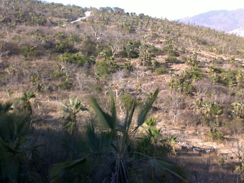 Terreno Rústico En Venta 398 Hectáreas En Chilpancingo Guerrero