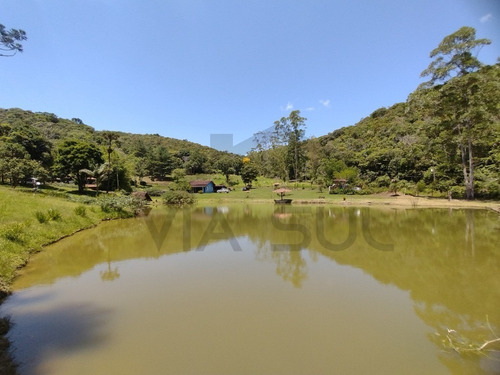 Imagem 2 de 30 de Belíssimo Sítio, Com Excelente Topografia E Rico Em Água - 52 - 70636338