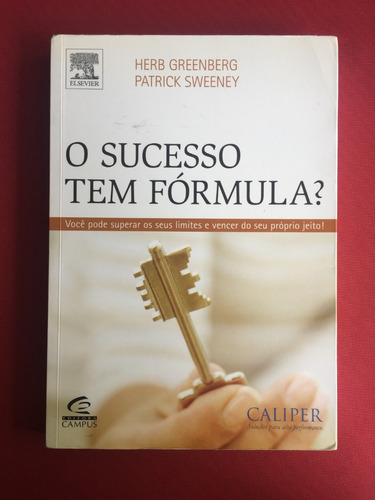 Livro - O Sucesso Tem Fórmula? - Herb Greenberg - Ed. Campus