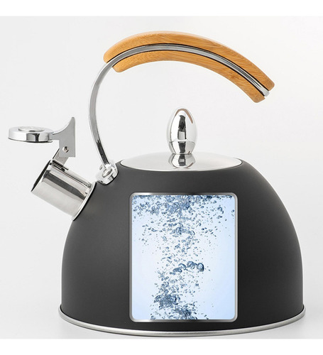 Tetera De Acero Inoxidable Estufa Con Mango De 2 Piezas