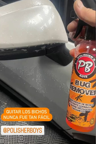 Bug Remover-removedor Insectos Bicho Auto