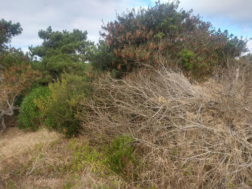 Imagen 6 de 15 de Terreno En Venta En Las Gaviotas