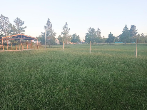 Imagen 9 de 10 de Terreno - Gualeguaychu