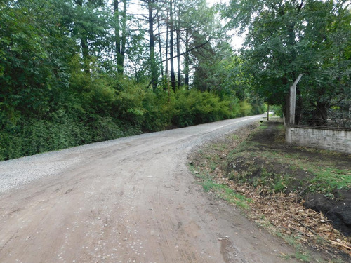 Terreno En Venta En Pilar