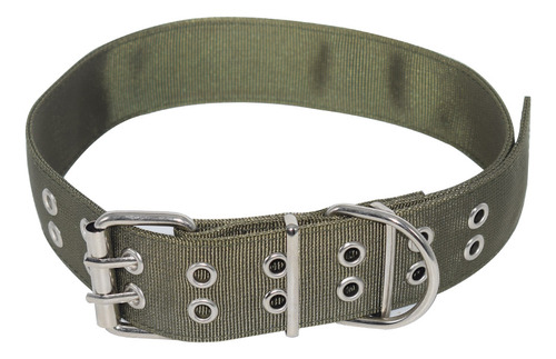 Collar Super Resistente Perro Ideal Para Dogo, Pit Bull, Rot Color Verde