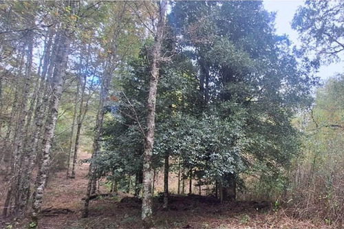 Venta De Terreno En Caburgua
