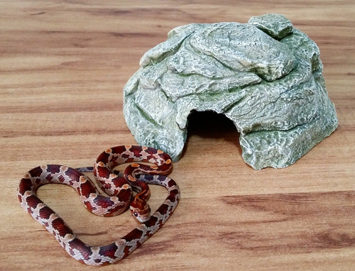 1 Toca P + 1 Bebedouro P - P/ Filhotes: Corn-snake,leo-gecko