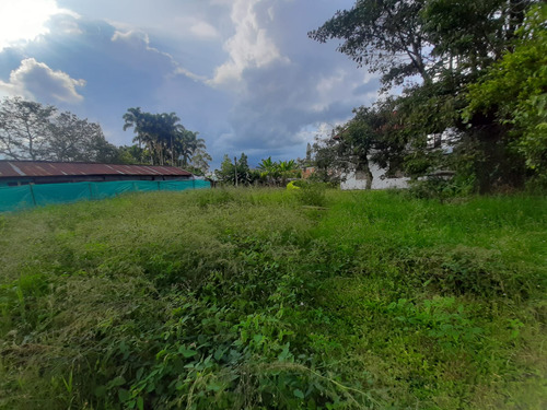 Se Vende Lote Urbano Vía Armenia - La Tebaida - Quindío