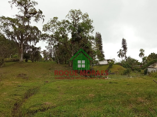 Imagem 8 de 14 de Terreno Com 5.100m² Em Juquitiba/miracatu-sp 0837