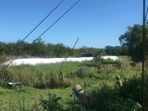Imagen 13 de 30 de Campo De 173 Hectáreas - Gral. Las Heras - Buenos Aires