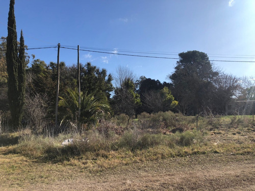 Imagen 2 de 7 de Lote Baldio T-737