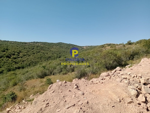 Imagen 6 de 14 de 5 Hectáreas, Entrega 12.000 Dólares