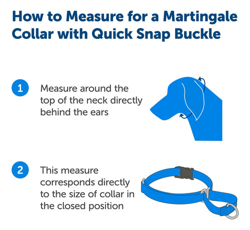 Collar Martingale Petsafe Con Hebilla Quick Snap, Rojo
