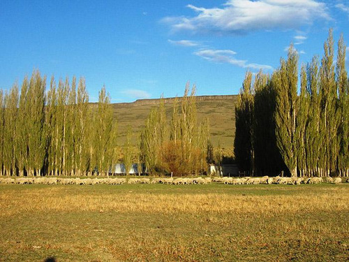 Inmobiliaria Comodoro - Estancia Productiva Próxima A Gobernador Gregores