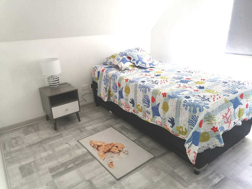 Arriendo Casa Amoblada En Alto Macul - 796 (84729)