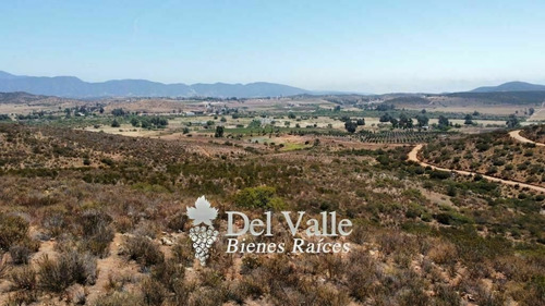 Imagen 4 de 9 de 1 A 5 Hectáreas En Valle De Guadalupe A Espaldas De Casa Fri
