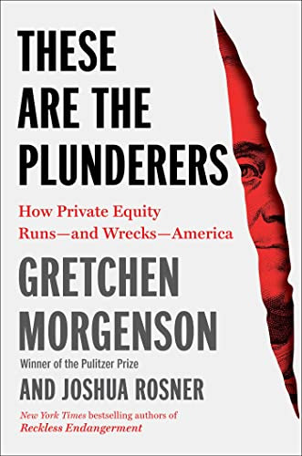 Book : These Are The Plunderers How Private Equity Runs And