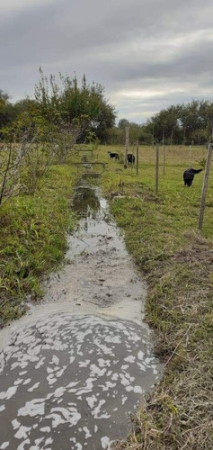 El Poleo Granja Agroecologica A 30 Kms De Merlo San Luis