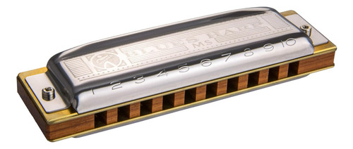 Set De Armónica Hohner Blues 5 Con Funda, Acero Inoxidable (