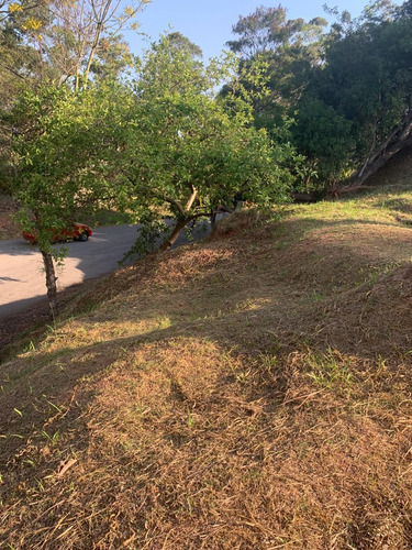 Imagem 6 de 10 de Terreno À Venda No Parque Dos Príncipes Avenida Darcy Reis
