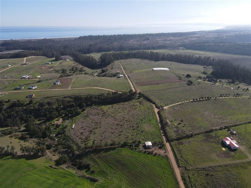 Imagen 5 de 8 de Agrícola En Venta En Santo Domingo