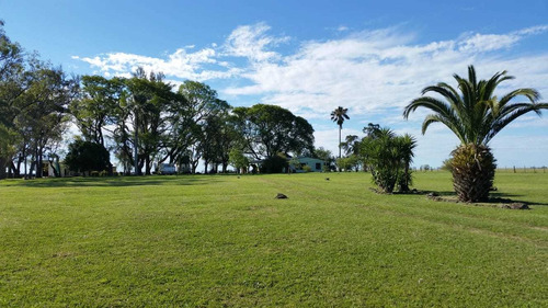 Campo En Venta En Artigas 340 Has