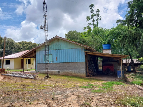 Chácara Na Lapa (feixo), Próximo A Mariental, Com 44.000 M2
