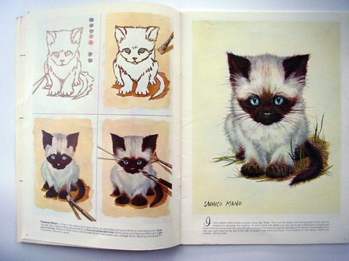 Imagen 2 de 8 de Como Dibujar Y Pintar Animales Con Obsequio