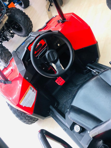 Rzr Polaris Ace 150 2017