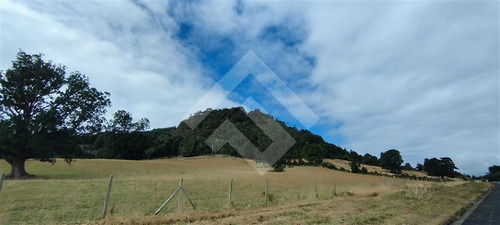 Parcela - 5.000 M2 Cada Una - Cascadas - Puerto Octay