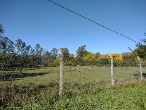 Imagen 3 de 21 de Terreno En Venta - La Lonja - Pilar