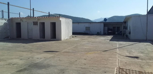 Imagen 7 de 11 de En Venta O Alquiler Patio En Avenida Camejo Octavio, Puerto La Cruz. Solo Clientes