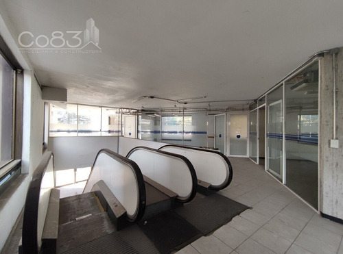 Renta - Oficina - Mariano Escobedo - 700 M2 - Piso 1