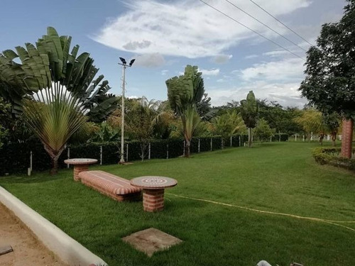 Imagen 15 de 30 de Angelica Naty Rent A House Casa En Venta Safari Carabobo Country Valencia Cod 22-204 Ar